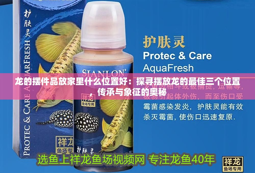 龍的擺件品放家里什么位置好：探尋擺放龍的最佳三個位置，傳承與象征的奧秘