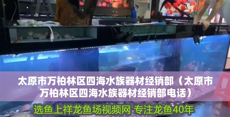 太原市萬柏林區(qū)四海水族器材經(jīng)銷部（太原市萬柏林區(qū)四海水族器材經(jīng)銷部電話）