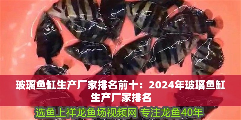 玻璃魚缸生產(chǎn)廠家排名前十：2024年玻璃魚缸生產(chǎn)廠家排名