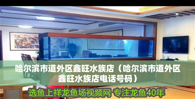 哈爾濱市道外區鑫旺水族店（哈爾濱市道外區鑫旺水族店電話號碼）