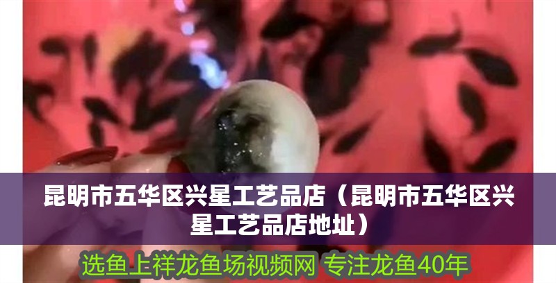 昆明市五華區(qū)興星工藝品店（昆明市五華區(qū)興星工藝品店地址）
