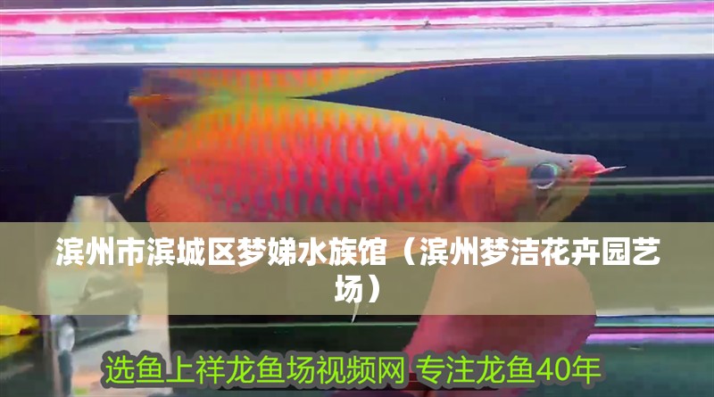 濱州市濱城區夢娣水族館（濱州夢潔花卉園藝場） 濱州市濱城區夢娣水族館（濱州夢潔花卉園藝場） 全國水族館企業名錄 第2張