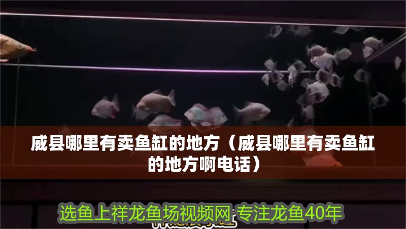 威縣哪里有賣魚缸的地方（威縣哪里有賣魚缸的地方啊電話）