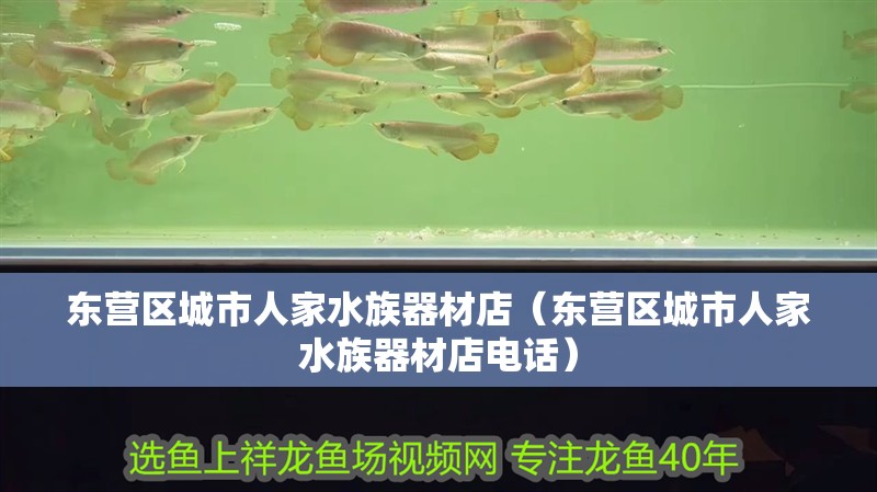 東營(yíng)區(qū)城市人家水族器材店（東營(yíng)區(qū)城市人家水族器材店電話）