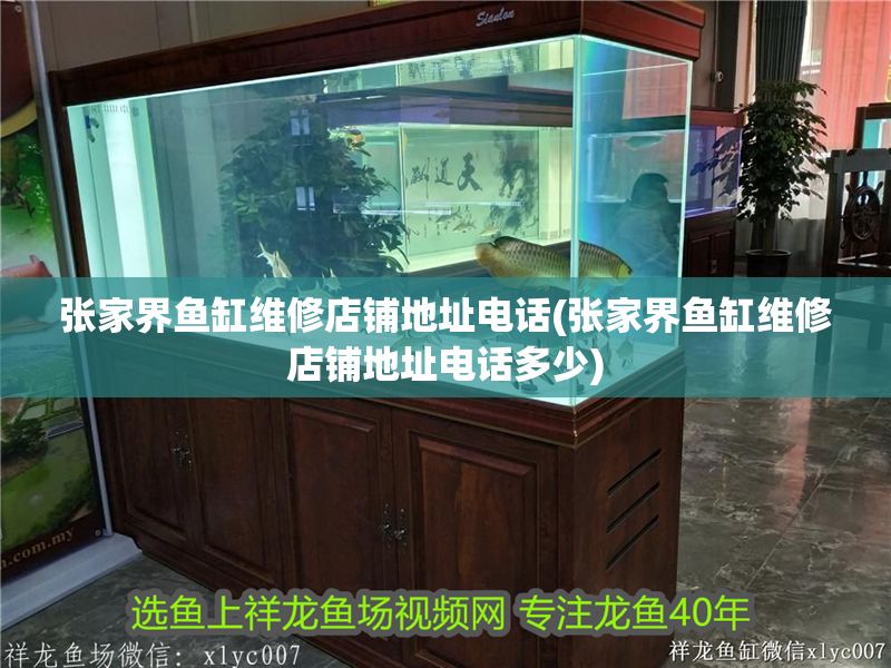 張家界魚缸維修店鋪地址電話(張家界魚缸維修店鋪地址電話多少)