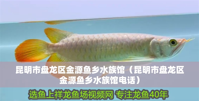 昆明市盤龍區金源魚鄉水族館（昆明市盤龍區金源魚鄉水族館電話）
