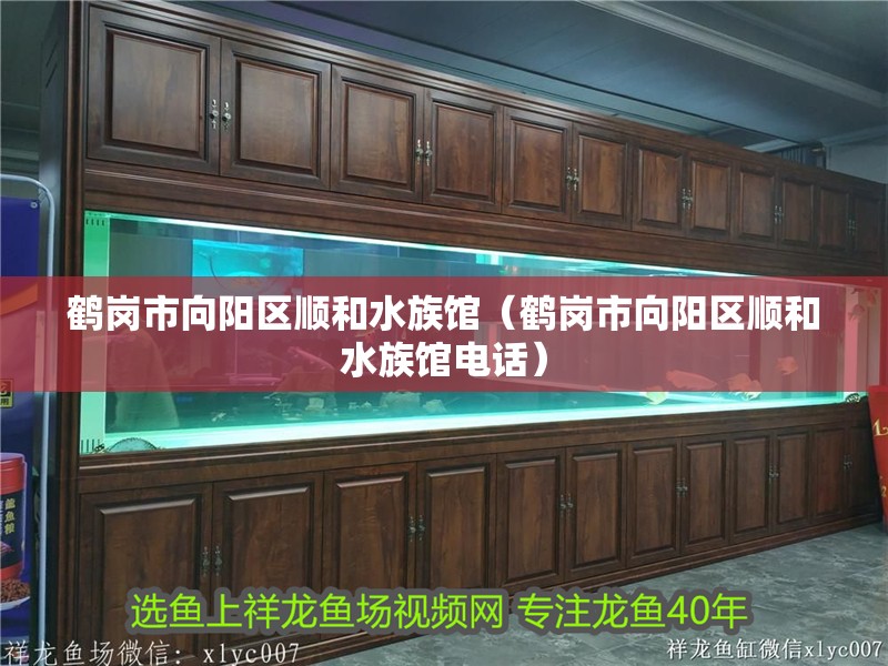 鶴崗市向陽區(qū)順和水族館（鶴崗市向陽區(qū)順和水族館電話）