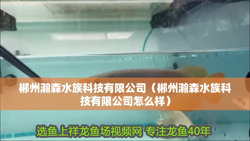 郴州瀚森水族科技有限公司（郴州瀚森水族科技有限公司怎么樣）