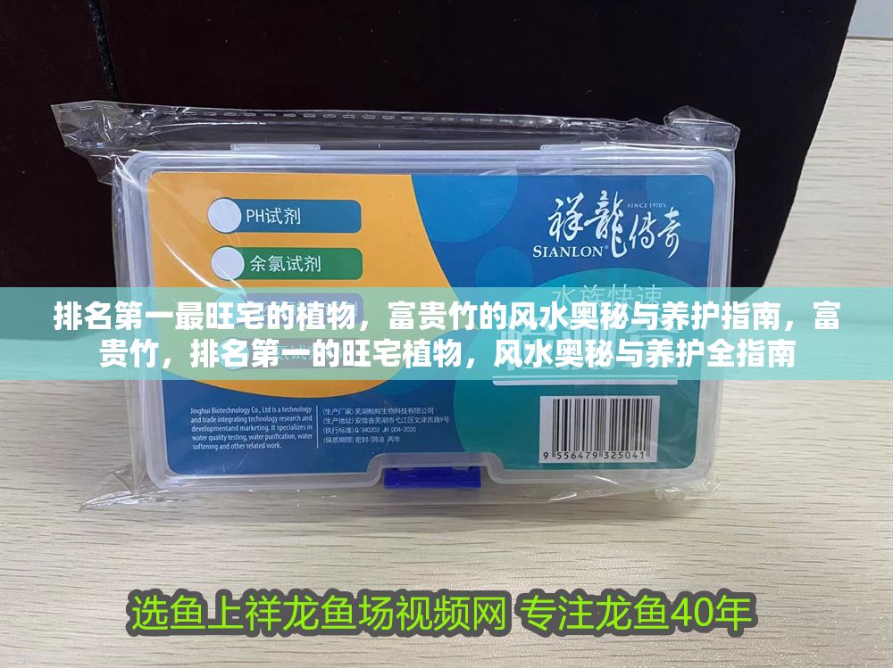 排名第一最旺宅的植物，富貴竹的風水奧秘與養護指南，富貴竹，排名第一的旺宅植物，風水奧秘與養護全指南