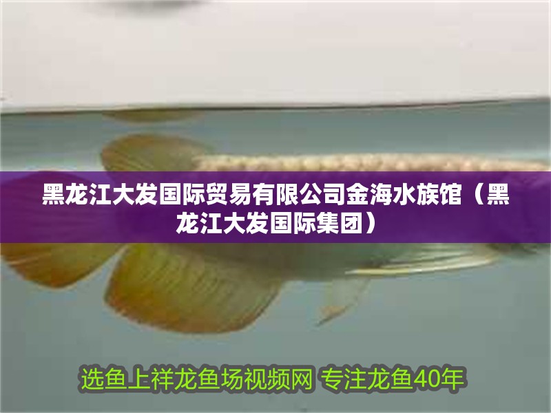 黑龍江大發(fā)國(guó)際貿(mào)易有限公司金海水族館（黑龍江大發(fā)國(guó)際集團(tuán)） 黑龍江大發(fā)國(guó)際貿(mào)易有限公司金海水族館（黑龍江大發(fā)國(guó)際集團(tuán)） 全國(guó)水族館企業(yè)名錄 第2張