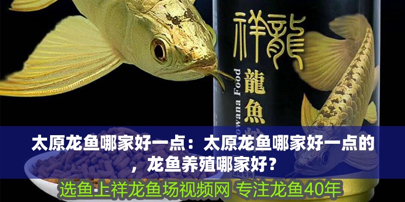 太原龍魚哪家好一點：太原龍魚哪家好一點的，龍魚養殖哪家好？