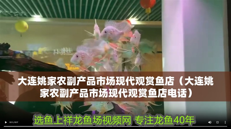 大連姚家農副產品市場現代觀賞魚店（大連姚家農副產品市場現代觀賞魚店電話） 大連姚家農副產品市場現代觀賞魚店（大連姚家農副產品市場現代觀賞魚店電話） 全國水族館企業名錄 第2張