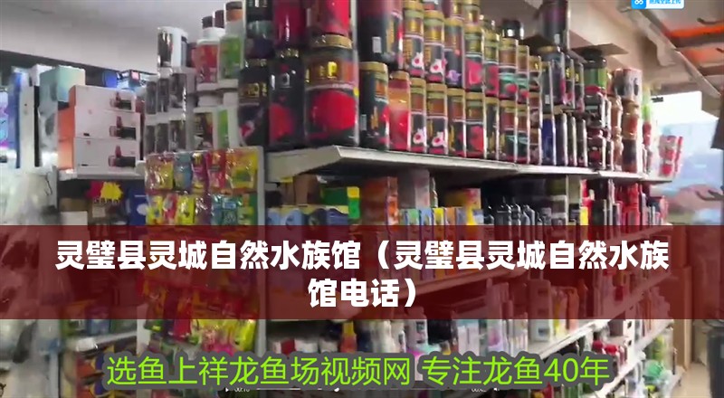 靈璧縣靈城自然水族館（靈璧縣靈城自然水族館電話） 靈璧縣靈城自然水族館（靈璧縣靈城自然水族館電話） 全國水族館企業名錄 第2張