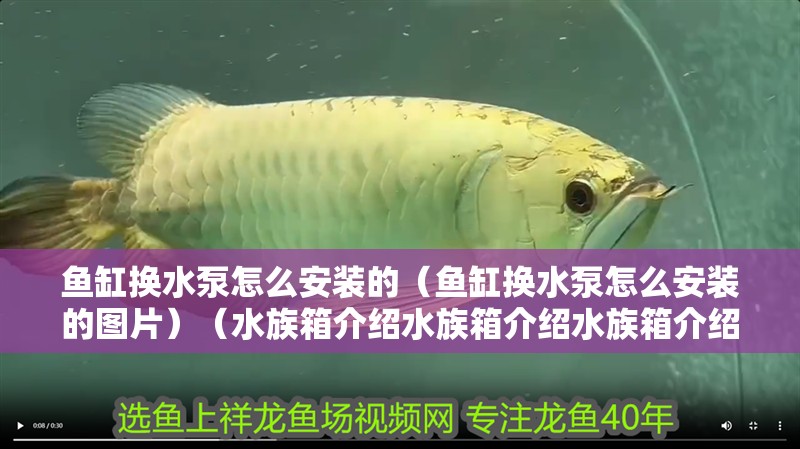 魚(yú)缸換水泵怎么安裝的（魚(yú)缸換水泵怎么安裝的圖片）（水族箱介紹水族箱介紹水族箱介紹水族箱用來(lái)飼養(yǎng)熱帶魚(yú)的作用）