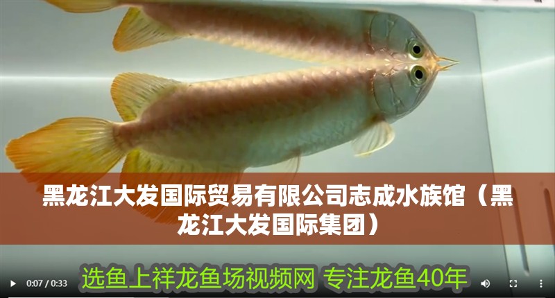 黑龍江大發(fā)國(guó)際貿(mào)易有限公司志成水族館（黑龍江大發(fā)國(guó)際集團(tuán)） 黑龍江大發(fā)國(guó)際貿(mào)易有限公司志成水族館（黑龍江大發(fā)國(guó)際集團(tuán)） 全國(guó)水族館企業(yè)名錄 第2張