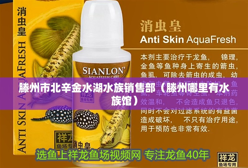 滕州市北辛金水湖水族銷售部（滕州哪里有水族館）