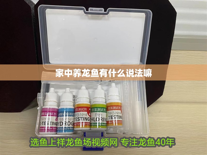 家中養龍魚有什么說法嘛