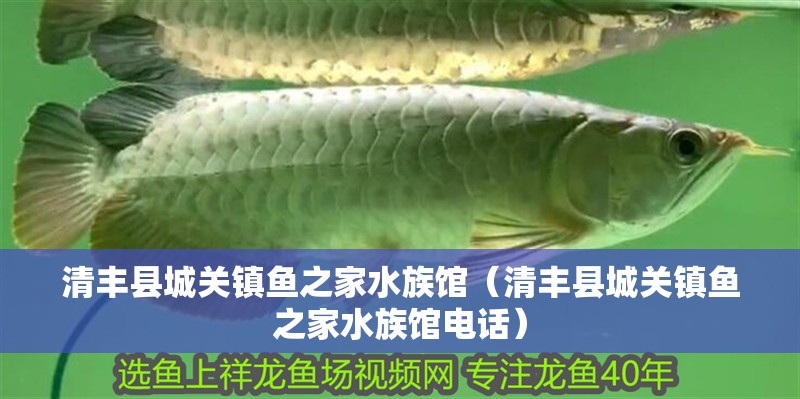 清豐縣城關鎮魚之家水族館（清豐縣城關鎮魚之家水族館電話） 清豐縣城關鎮魚之家水族館（清豐縣城關鎮魚之家水族館電話） 全國水族館企業名錄 第2張