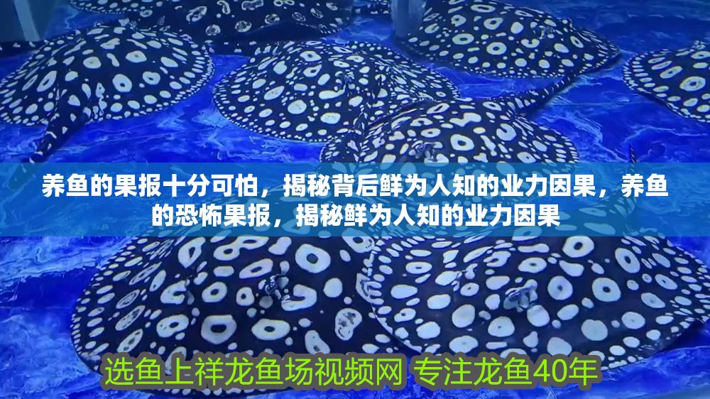 詳細閱讀:養魚的果報十分可怕,揭秘背后鮮為人知的業力因果,養魚的恐怖果報,揭秘鮮為人知的業力因果 養魚的果報十分可怕,揭秘背后鮮為人知的業力因果,養魚的恐怖果報,揭秘鮮為人知的業力因果