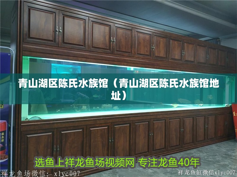 青山湖區陳氏水族館（青山湖區陳氏水族館地址）