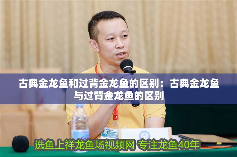 古典金龍魚和過背金龍魚的區別：古典金龍魚與過背金龍魚的區別