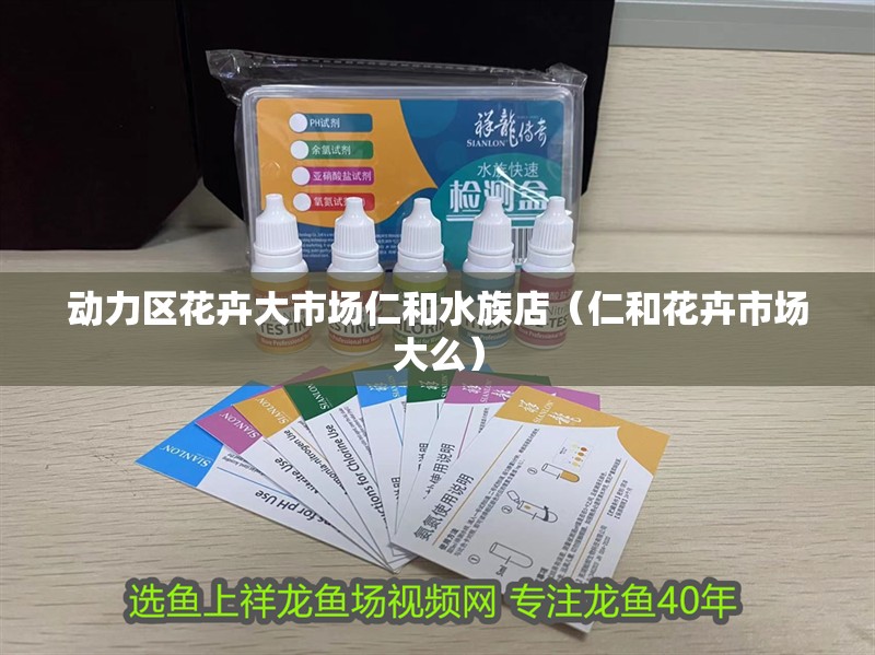 動力區(qū)花卉大市場仁和水族店（仁和花卉市場大么）