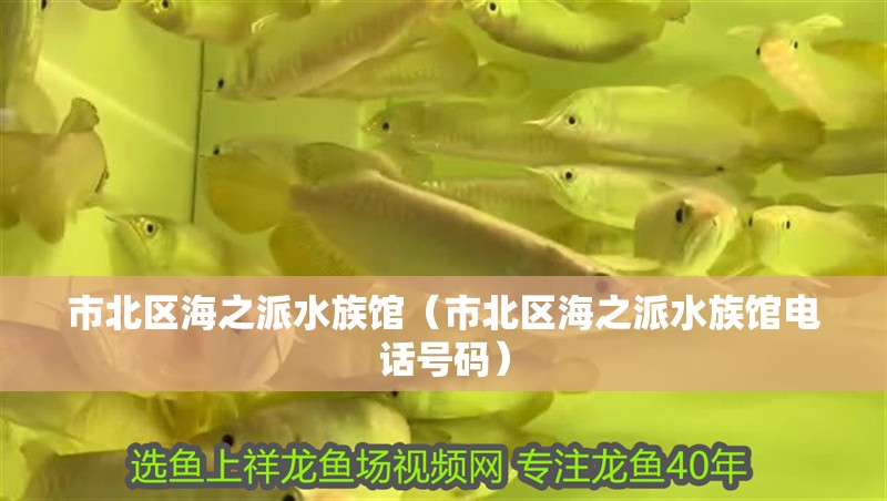 市北區(qū)海之派水族館（市北區(qū)海之派水族館電話號碼） 市北區(qū)海之派水族館（市北區(qū)海之派水族館電話號碼） 全國水族館企業(yè)名錄 第2張