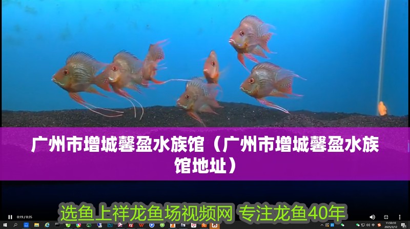 廣州市增城馨盈水族館（廣州市增城馨盈水族館地址）