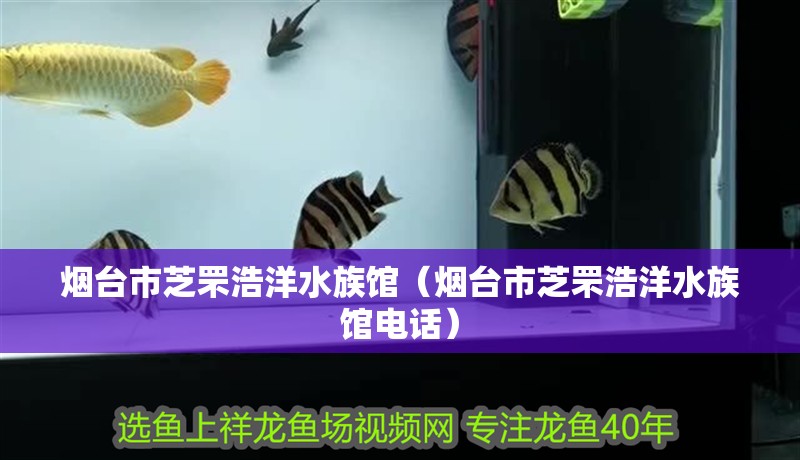 煙臺市芝罘浩洋水族館（煙臺市芝罘浩洋水族館電話）