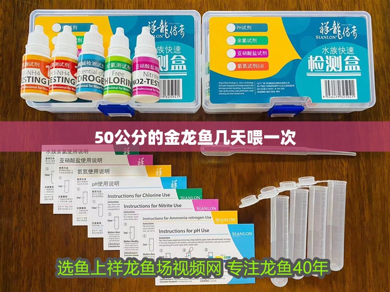 50公分的金龍魚幾天喂一次