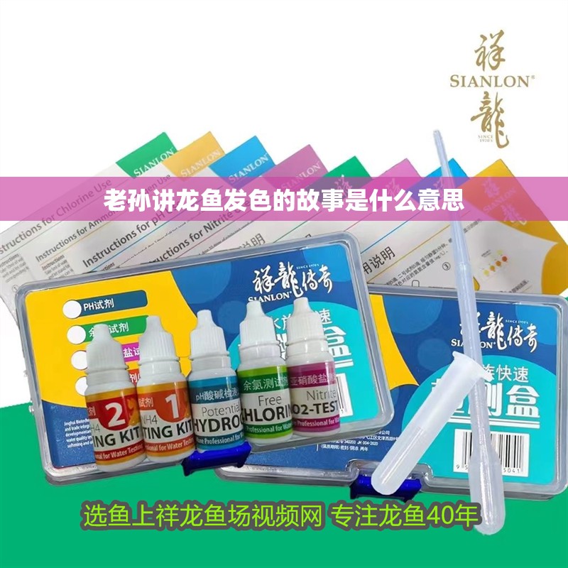 老孫講龍魚發色的故事是什么意思