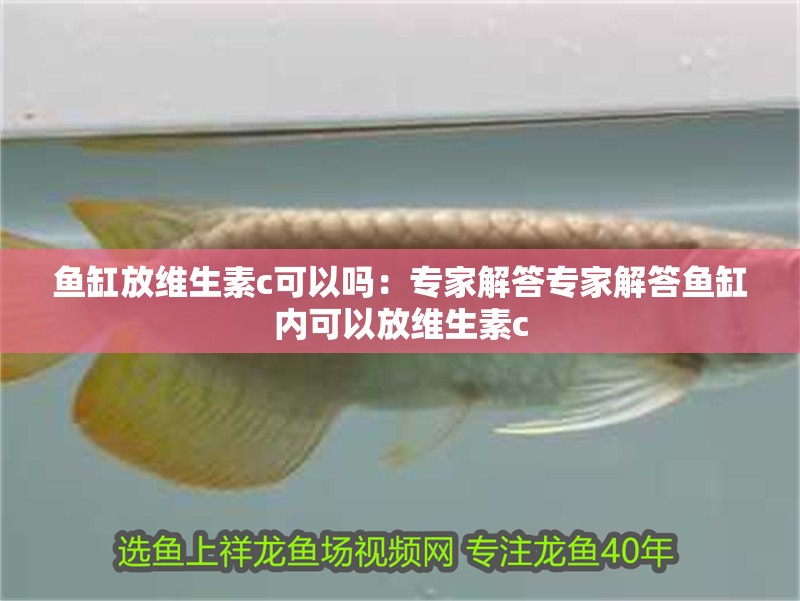 魚缸造景先放沙還是先放水(魚缸造景先鋪沙還是先放石頭) 魚缸放維生素c可以嗎:專家解答專家解答魚缸內(nèi)可以放維生素c 魚缸百科 魚缸放維生素c可以嗎:專家解答專家解答魚缸內(nèi)可以放維生素c 魚缸放維生素c可以嗎:專家解答專家解答魚缸內(nèi)可以放維生素c 魚缸百科