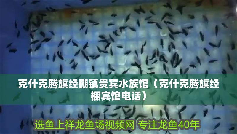 克什克騰旗經棚鎮貴賓水族館（克什克騰旗經棚賓館電話）