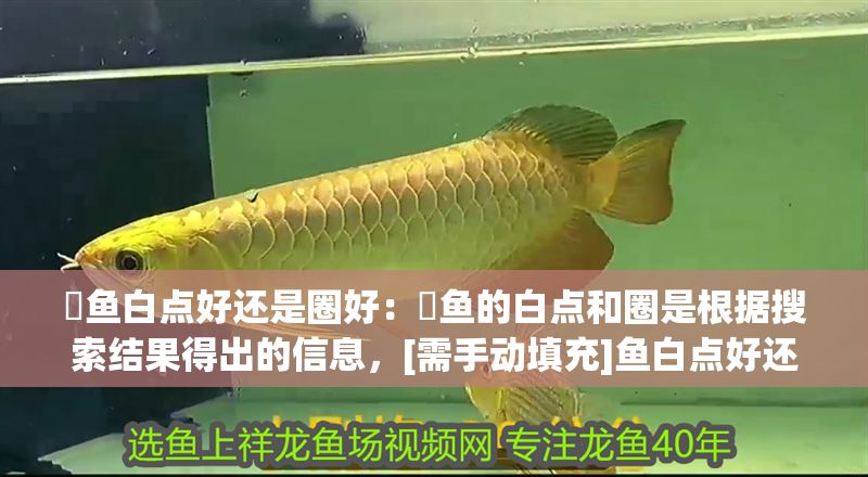 魟魚白點好還是圈好：魟魚的白點和圈是根據(jù)搜索結(jié)果得出的信息，[需手動填充]魚白點好還是圈好