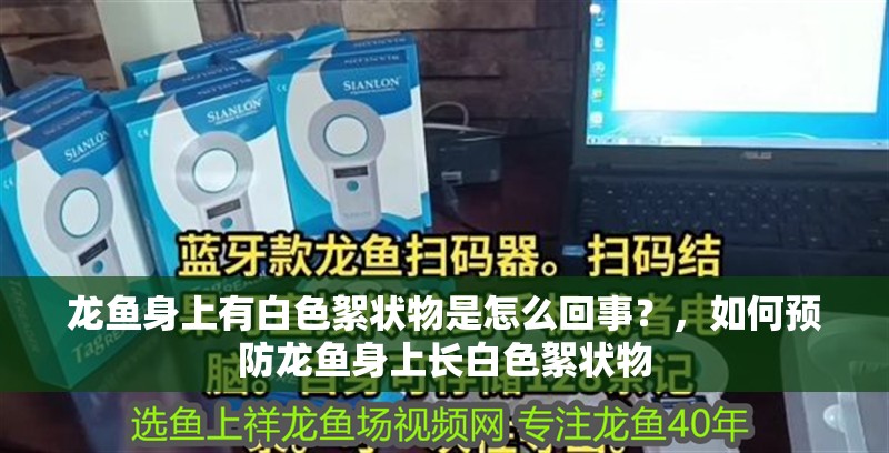 龍魚身上有白色絮狀物是怎么回事？，如何預防龍魚身上長白色絮狀物