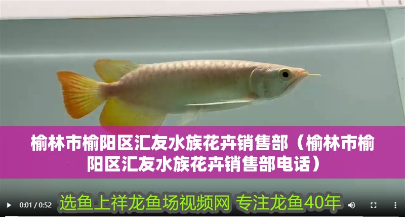 榆林市榆陽區匯友水族花卉銷售部（榆林市榆陽區匯友水族花卉銷售部電話）