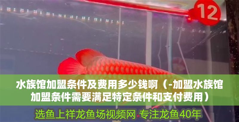 水族館加盟條件及費(fèi)用多少錢(qián)啊(-加盟水族館加盟條件需要滿足特定條件和支付費(fèi)用) 水族館百科(水族館加盟) 第1張 水族館加盟條件及費(fèi)用多少錢(qián)啊(-加盟水族館加盟條件需要滿足特定條件和支付費(fèi)用) 水族館加盟條件及費(fèi)用多少錢(qián)啊(-加盟水族館加盟條件需要滿足特定條件和支付費(fèi)用) 水族館百科(水族館加盟) 第1張