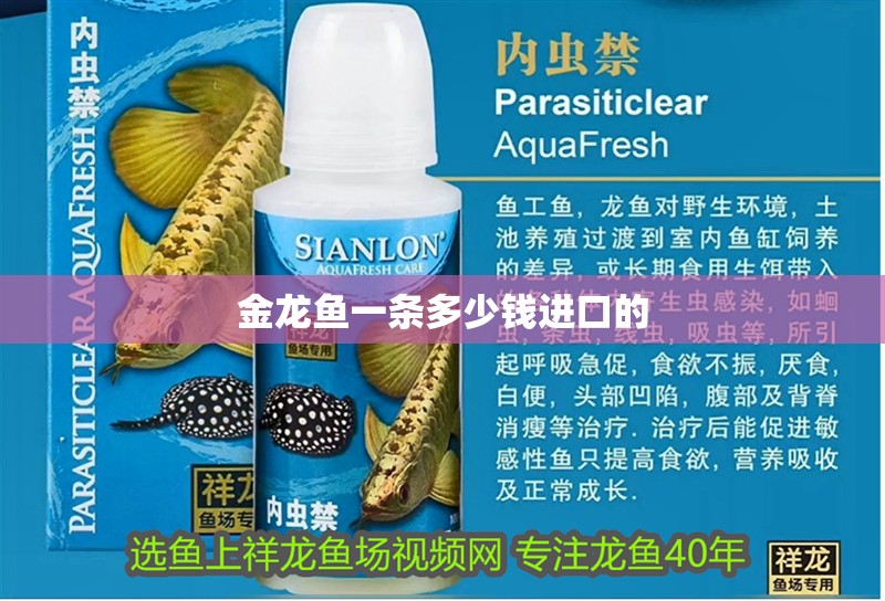 金龍魚(yú)一條多少錢進(jìn)口的