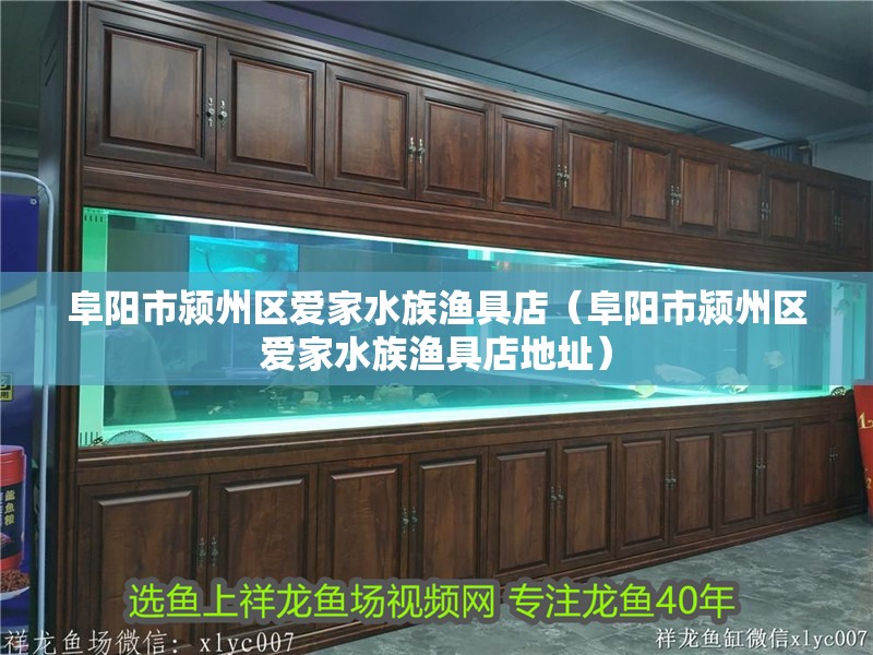 阜陽市潁州區愛家水族漁具店（阜陽市潁州區愛家水族漁具店地址） 阜陽市潁州區愛家水族漁具店（阜陽市潁州區愛家水族漁具店地址） 全國水族館企業名錄 第2張