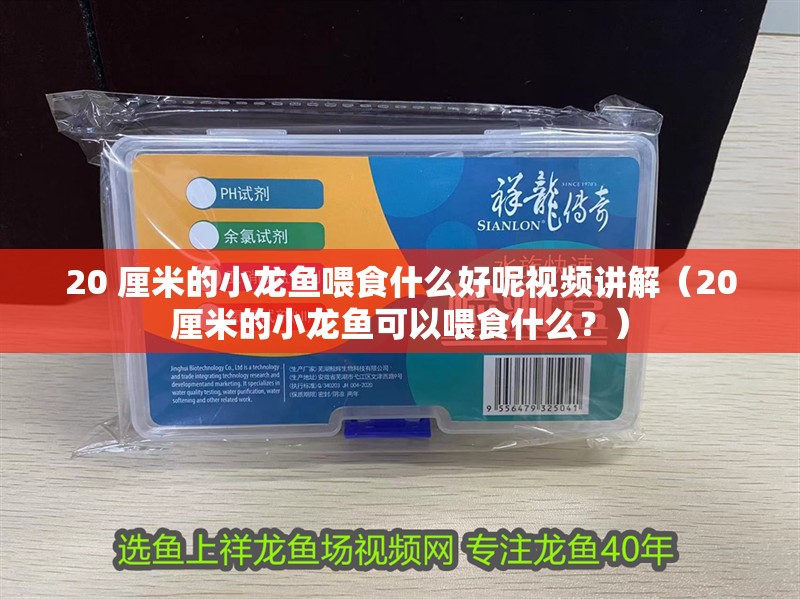 20 厘米的小龍魚喂食什么好呢視頻講解（20厘米的小龍魚可以喂食什么？） 20 厘米的小龍魚喂食什么好呢視頻講解（20厘米的小龍魚可以喂食什么？） 龍魚百科