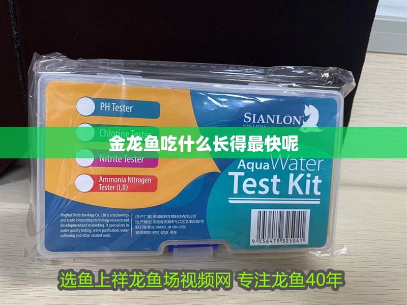 金龍魚吃什么長得最快呢