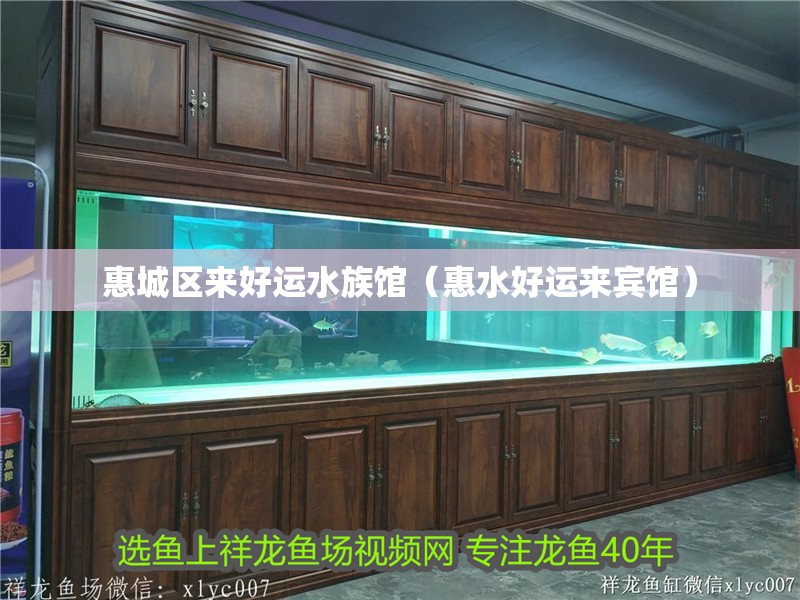 惠城區來好運水族館（惠水好運來賓館）