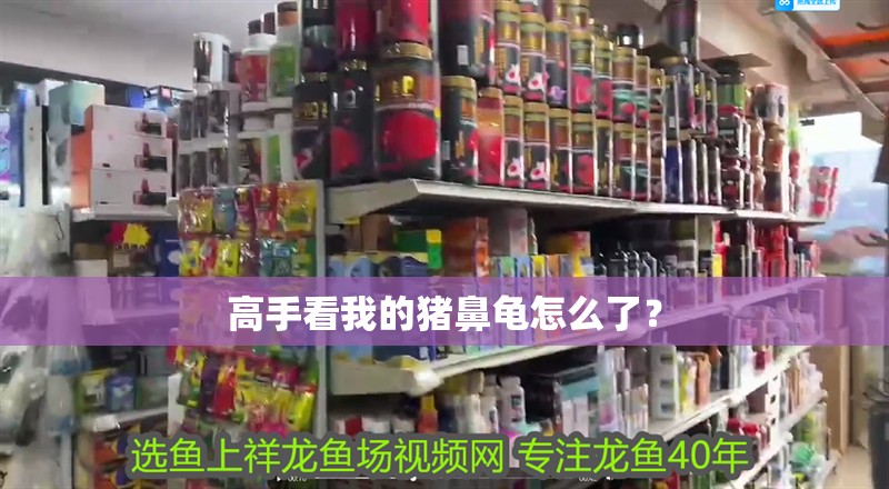 高手看我的豬鼻龜怎么了？