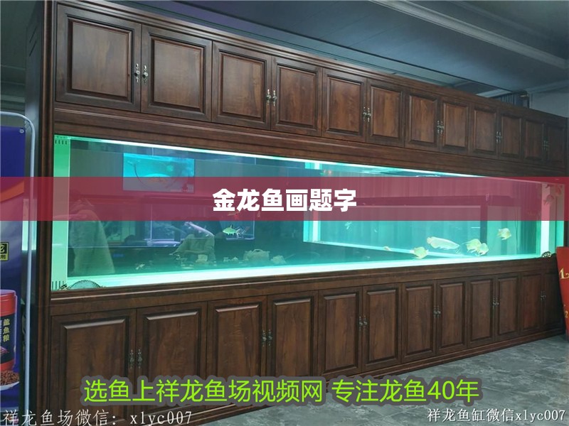 金龍魚畫題字