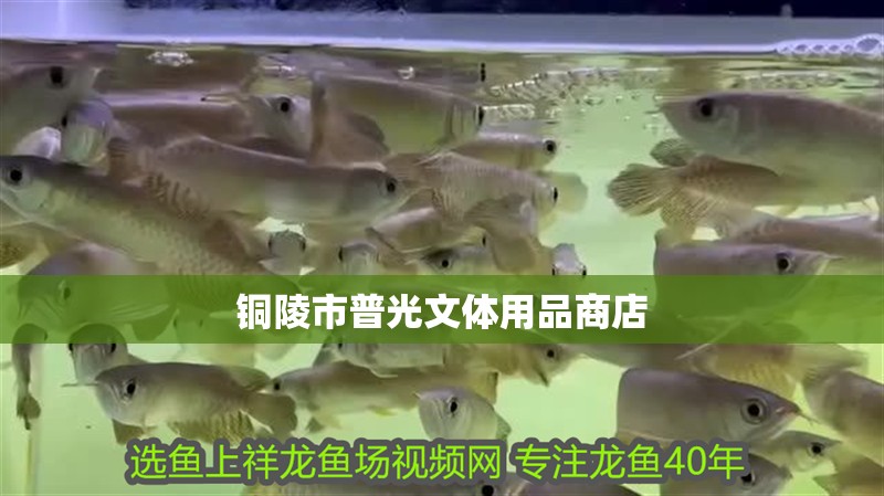 銅陵市普光文體用品商店