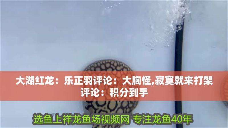 大湖紅龍：樂正羽評論：大胸怪,寂寞就來打架評論：積分到手