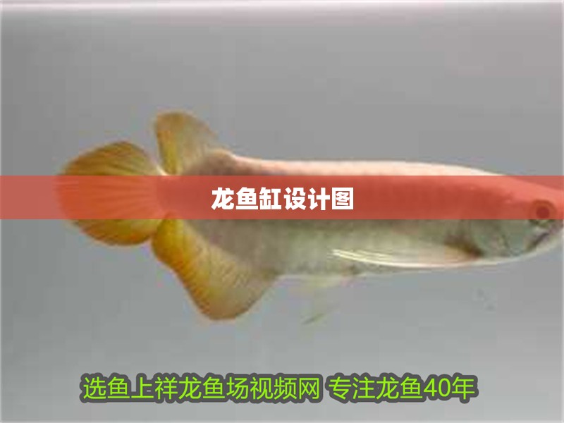 龍魚缸設(shè)計(jì)圖