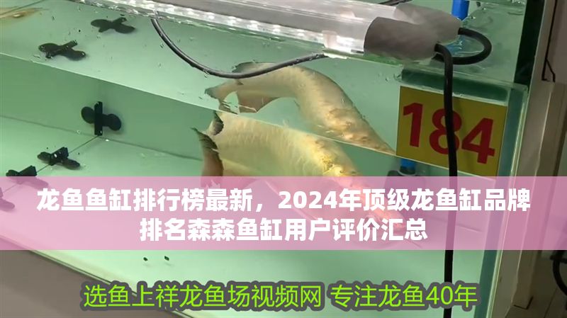 龍魚魚缸排行榜最新，2024年頂級龍魚缸品牌排名森森魚缸用戶評價匯總