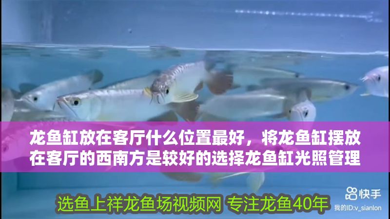 龍魚缸放在客廳什么位置最好，將龍魚缸擺放在客廳的西南方是較好的選擇龍魚缸光照管理方法