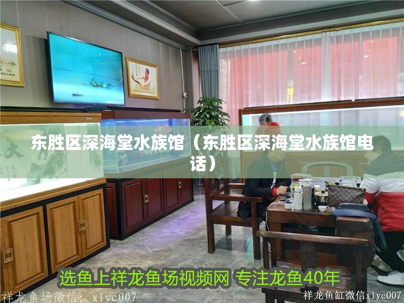 東勝區(qū)深海堂水族館(東勝區(qū)深海堂水族館電話) 全國(guó)水族館企業(yè)名錄 第2張 東勝區(qū)深海堂水族館(東勝區(qū)深海堂水族館電話) 東勝區(qū)深海堂水族館(東勝區(qū)深海堂水族館電話) 全國(guó)水族館企業(yè)名錄 第2張